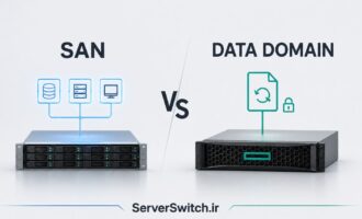 DataDomain