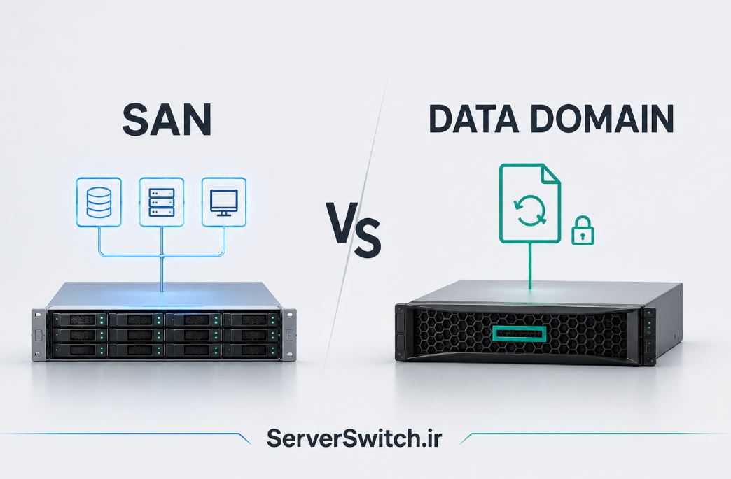 DataDomain